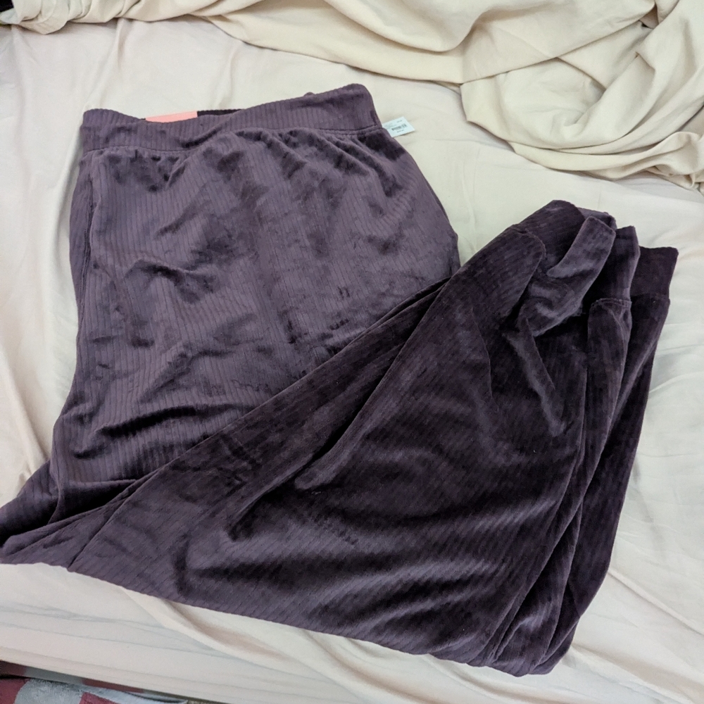 LIVI Ribbed Velour Jogger - Picture 4 of 7